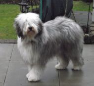 1 year old